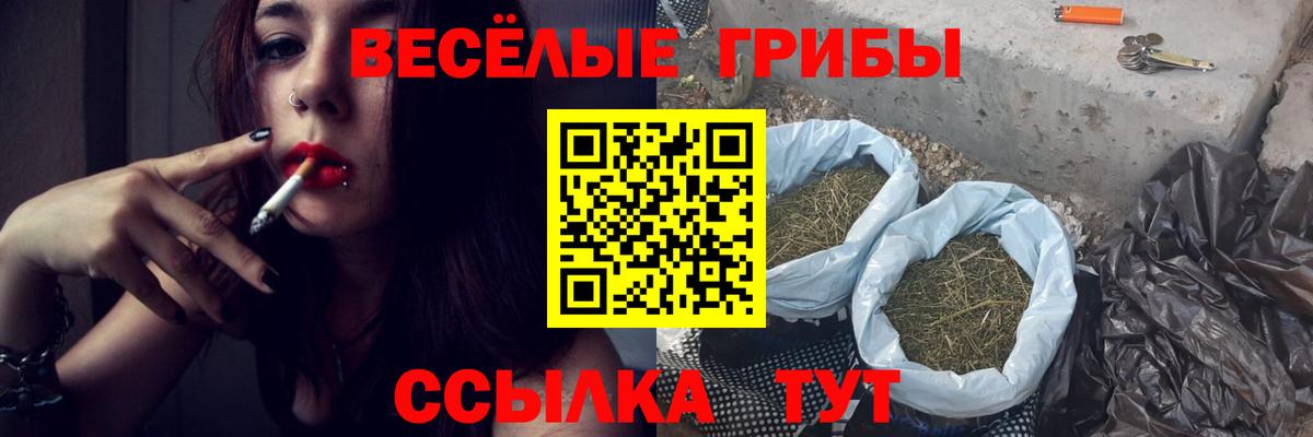 Галлюциногенные грибы Cubensis  Вход с VPN  Великий Новгород 
