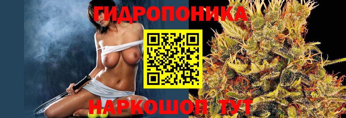 Марихуана сатива Великий Новгород